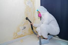 Best Comprehensive Air Testing for Mold Contaminants  in Natchitoches, LA